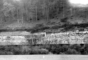 Neudenau Sanierung Stützmauer Rodung Hangwald