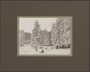 Schneelandschaft mit Kindern auf Skiern und Schlitten.