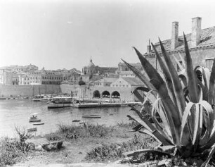 Dubrovnik, Blick auf den Hafen
