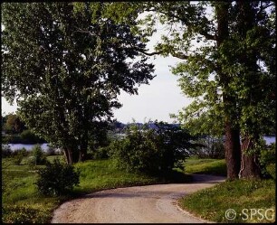 Potsdam, Park Babelsberg, Parkansicht, Im Hintergrund die Glienicker Brücke.
