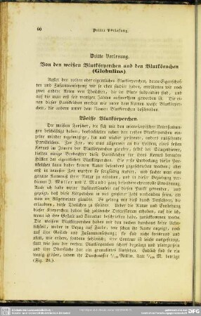 Dritte Vorlesung. Von den weißen Blutkörperchen und den Blutkörnchen (Globulins)