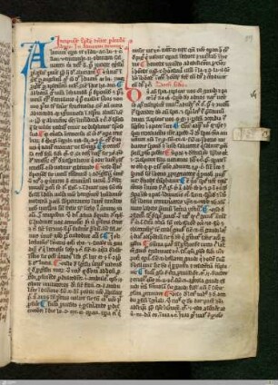 [Gualterus de Brugis Ofm., Sermones dominicales]