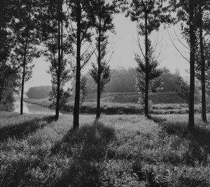 Archivfotografie "oberrhein_landschaften_12995"