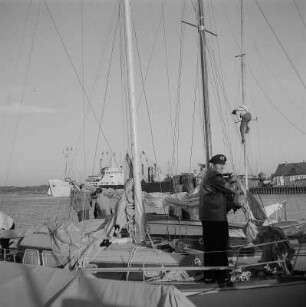 Stralsund. Hafen, im Vordergrund Segelschiffe, im Hintergrund weitere Schiffe