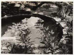 Garten Stuiber Böhmerwald: Teich