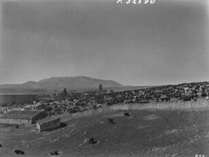 Viehmarkt in Soria : Der Viehmarkt von Soria mit der Sierra de San Marcos im Hintergrund