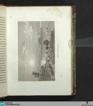 Illustration: Insel Meinau