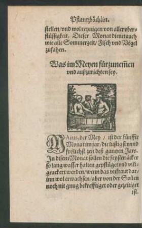 Was im Meyen fürzunemmen ... sey.