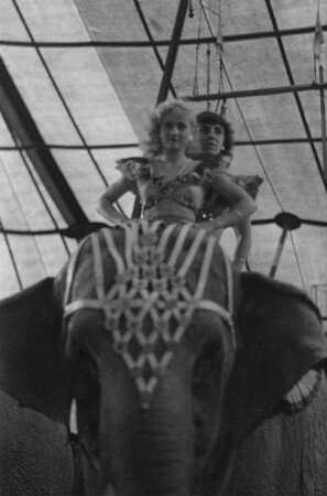 Zwei Artistinnen reiten auf einem Elefanten bei einer Aufführung vor Publikum in der Manege des Volkseigenen Circus Aeros