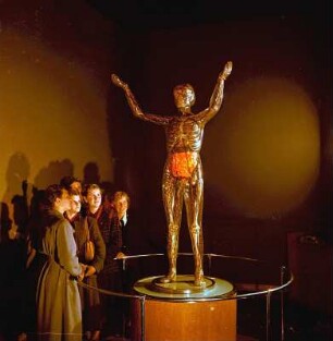 Besucher im Deutschen Hygiene-Museum Dresden an der Gläsernen Frau