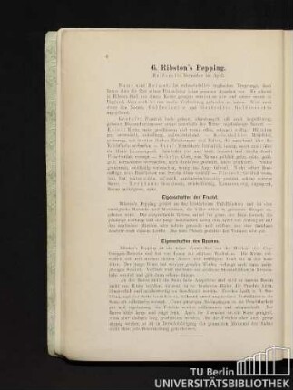 6. Ribston's Pepping.