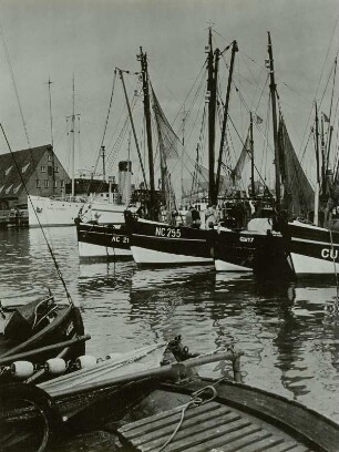 Cuxhaven, Fischkutter im Hafen