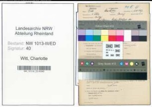 Entnazifizierung Charlotte Witt , geb. 09.05.1892 (Lehrerin)