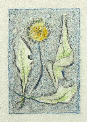 Blume