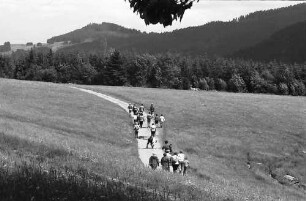 Wandergruppen im Bärental