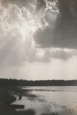 Moritzburger Teichgebiet. Uferlandschaft