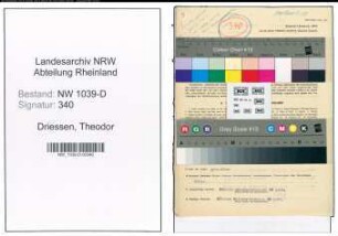 Entnazifizierung Theodor Driessen , geb. 06.11.1884 (Rechtsanwalt)