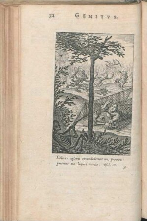 [IX.] Dolores inferni cicumdederunt me, præoccupauerunt me laquei mortis. Psal. 17.