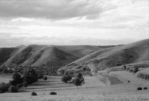 Vogtsburg: Vogtsburg mit Kaiserstuhlberg, Badberg
