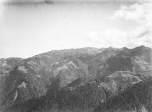 Vegetationsansicht : Vegetationslandschaft eines Gebirges
