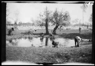 zwischen Tauroggen und Skaudile (?) (=Tauragë bzw. Skaudvilë, Litauen): russische Kriegsgefangene rund um einen Weiher kniend ("Russische Gefangene und Beute. April-Juni 1915")