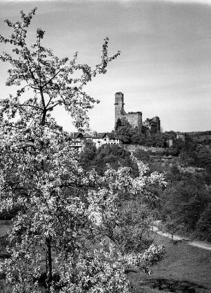 Reichenberg Rhein-Lahn-Kreis. Burg Reichenberg (1319/1352, 1370/1385, Restaurierung 1649-1651)