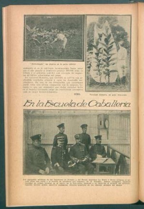 En la Escuela de Caballería