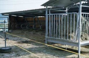 Fotografie: Liegehalle, Liegebox, Tiefbox