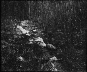Auf das Felsige Mt. 13,5 [Gleichnis vom Sämann]