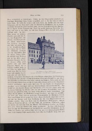 Das Rathaus zu Pilsen