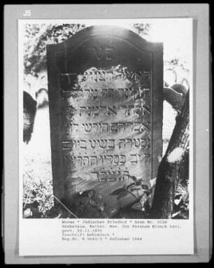 Grabstein von Esther Levi, Witwe des Abraham Hirsch Levi (+ 1855.11.22)