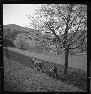 Bauer beim Pflügen