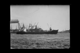 Bussard (1961), Frachtschiff, Argo Reederei Richard Adler & Söhne, Bremen, Bau-Nr. 21