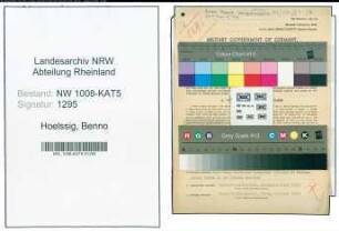 Entnazifizierung Benno Hoelssig , geb. 09.06.1910 (Prokurist)