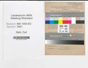 Entnazifizierung Carl Dehl, geb. 12.07.1900 (Arbeiter)