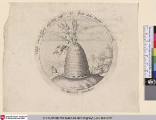 De douceur amertume