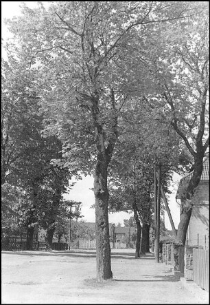 Havelse, Am Hasenberge