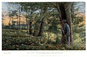 Serie Nr. 49/2 Nr. 145: Österreichisch-ungarische Feldwache.