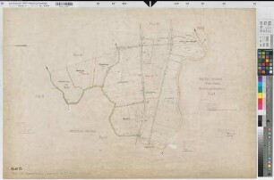 Liesborn (Wadersloh), Flurbereinigung Liesborn, Bl.25 Zuteilungskarte Flur 25