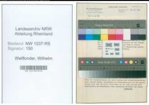 Entnazifizierung Wilhelm Wellfonder , geb. 21.06.1888 (Reg.Inspektor)