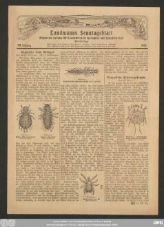 General-Anzeiger für Kemberg, Bad Schmiedeberg und Umgegend, Landmanns Sonntagsblatt