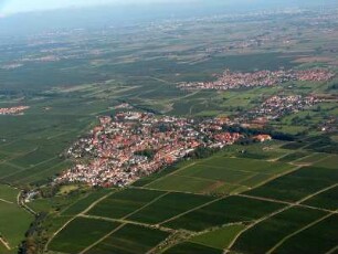 Deidesheim (Pfalz)