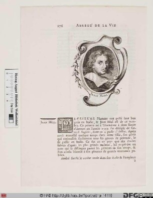 Bildnis Jan Miel