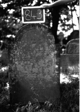 Grabstein 843 (Index: 100102925) Material: Sandstein Zustand: leicht angewittert, stark bewachsen Maße HxBxT: 112x60x7 cm Beschreibung: Stele, eingezogener Rundbogenabschluss, Schriftfeld durch umlaufende Rille abgeteilt, mit Konvexbogenabschluss: Grabstein 843