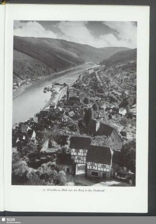 Hirschhorn, Blick von der Burg in das Neckartal