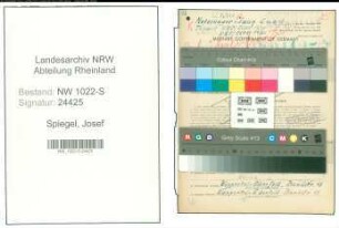 Entnazifizierung Josef Spiegel , geb. 15.10.1900 (Kaufmaennischer Angestellter)