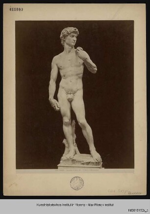 David