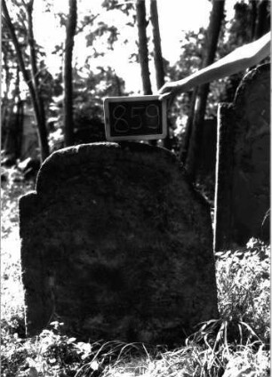 Grabstein 859 (Index: 100102957) Material: Sandstein Zustand: völlig verwittert Maße HxBxT: 99x81x9 cm Beschreibung: Stele, eingezogener Rundbogenabschluss (unregelmäßig, mit Abbrüchen), Schriftfeld eingetieft: Grabstein 859