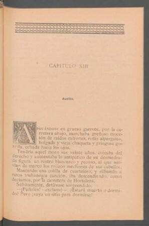 Capítulo XIII - Auxilio.