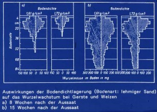 Auswirkungen der Bodendichtlagerung